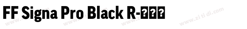 FF Signa Pro Black R字体转换